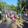 Thaipongal_Festival_2024